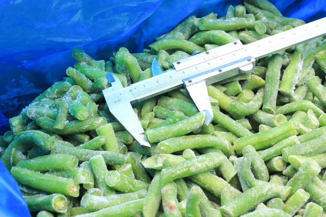 Brc a Approved No Worm Base Material IQF Green Beans Whole Frozen Green Beans Whole