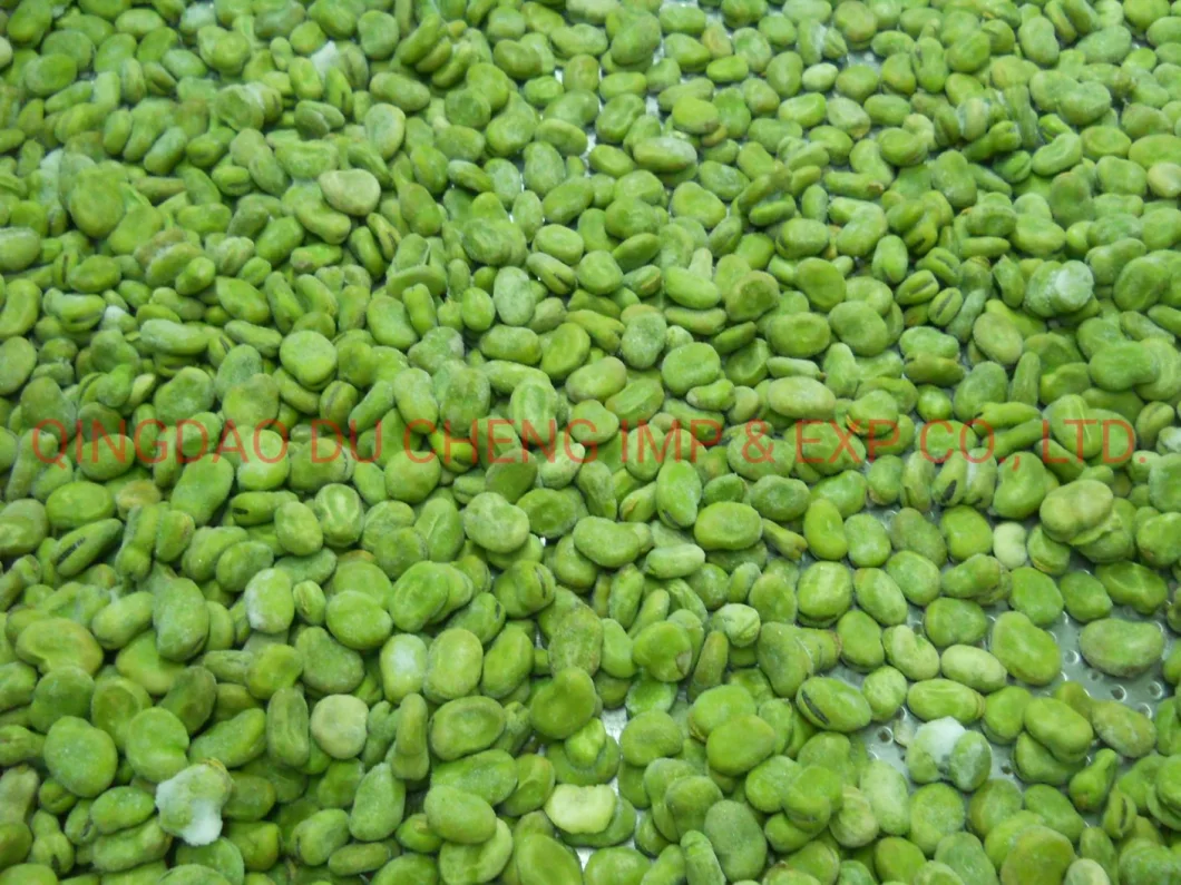 Frozen Fava Beans, Frozen Yellow Broad Beans, Frozen Green Broad Bean