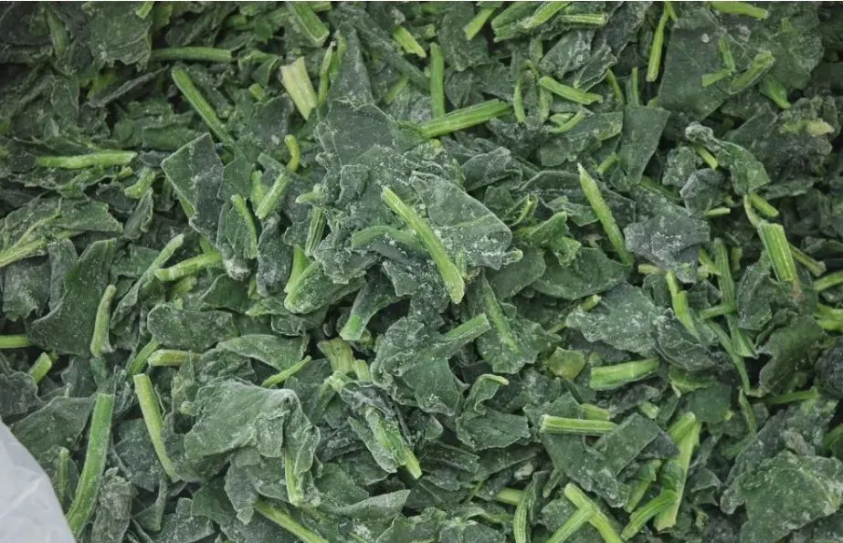 Processed Spinach Cut High Quality IQF Chopped Spinach 3/8