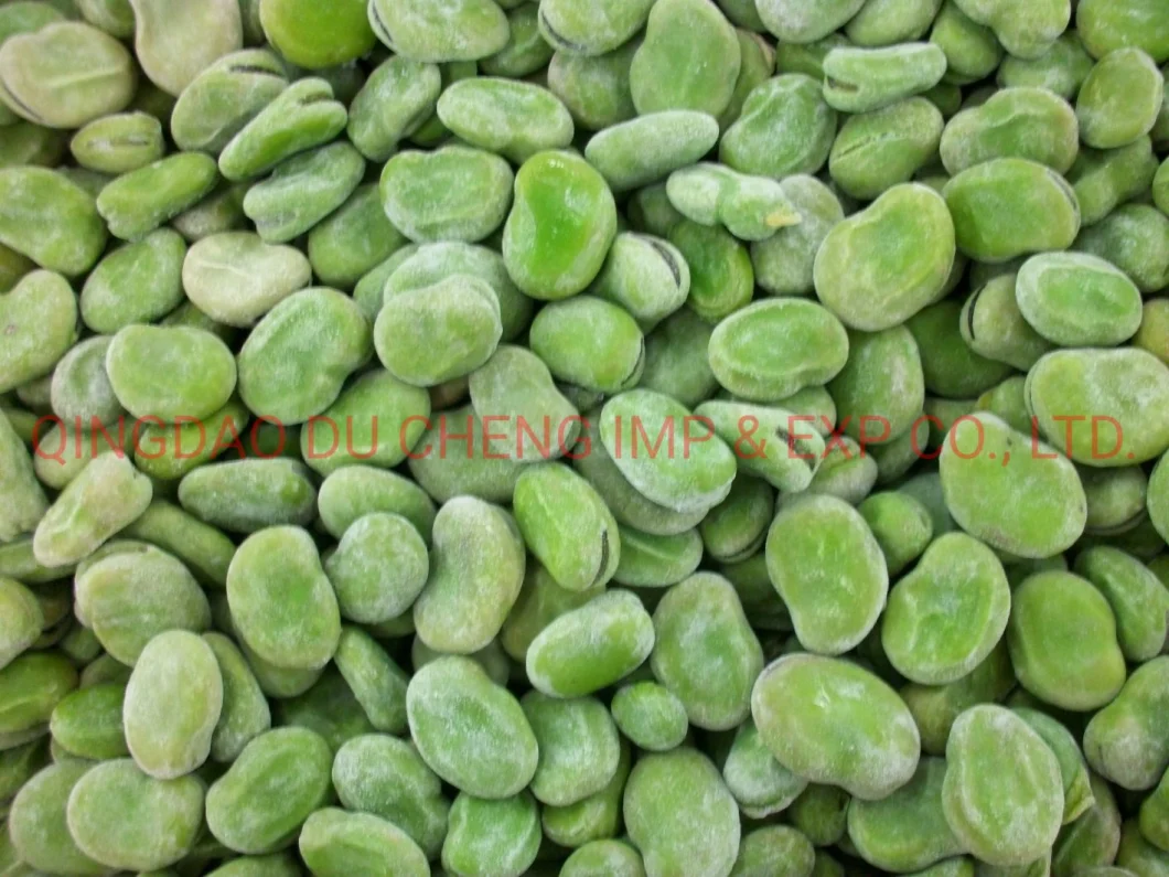 Dry Yellow Broad Beans, Frozen Green Broad Bean