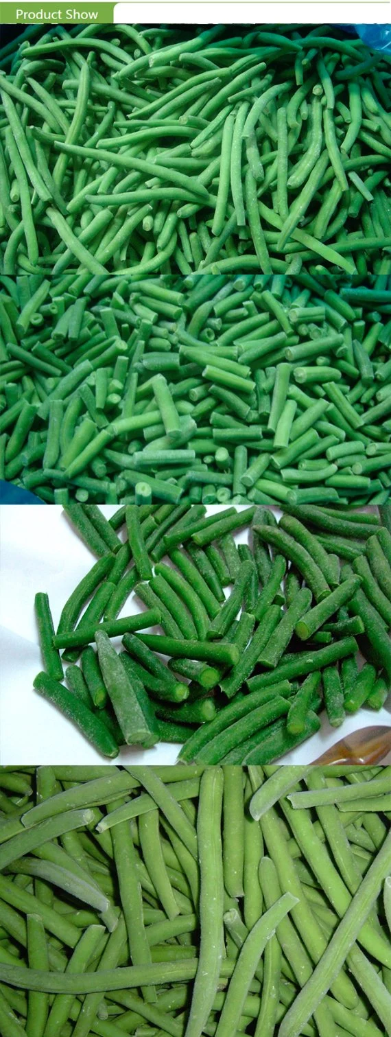 China Frozen IQF Cut Green Beans with EU Standard for Exporting in Bulk Retail Packing