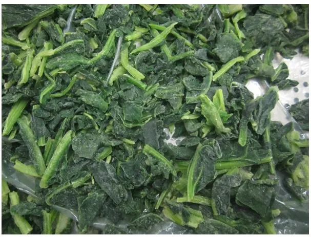 Processed Spinach Cut High Quality IQF Chopped Spinach 3/8