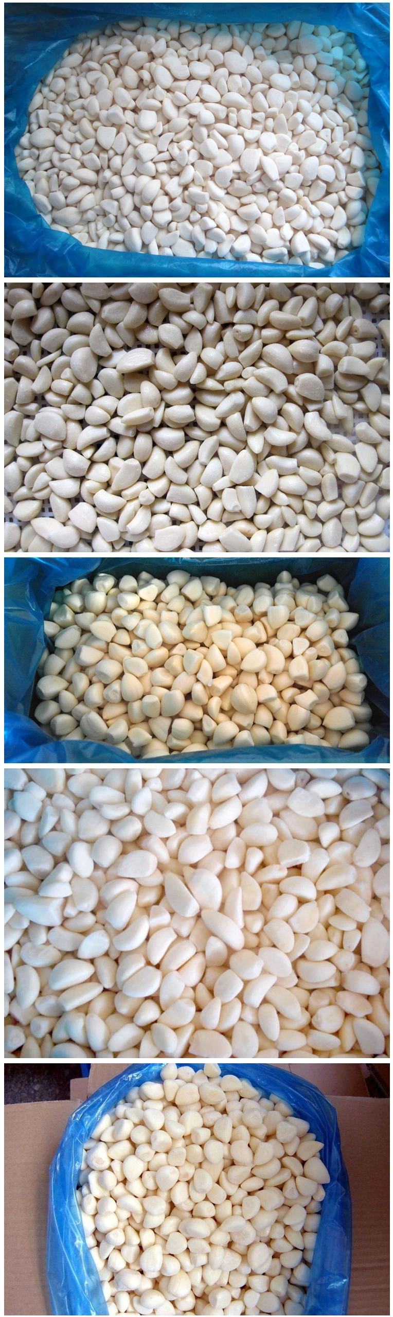 Fresh Frozen Peeled Garlic Frozen Peeled Garlic Price