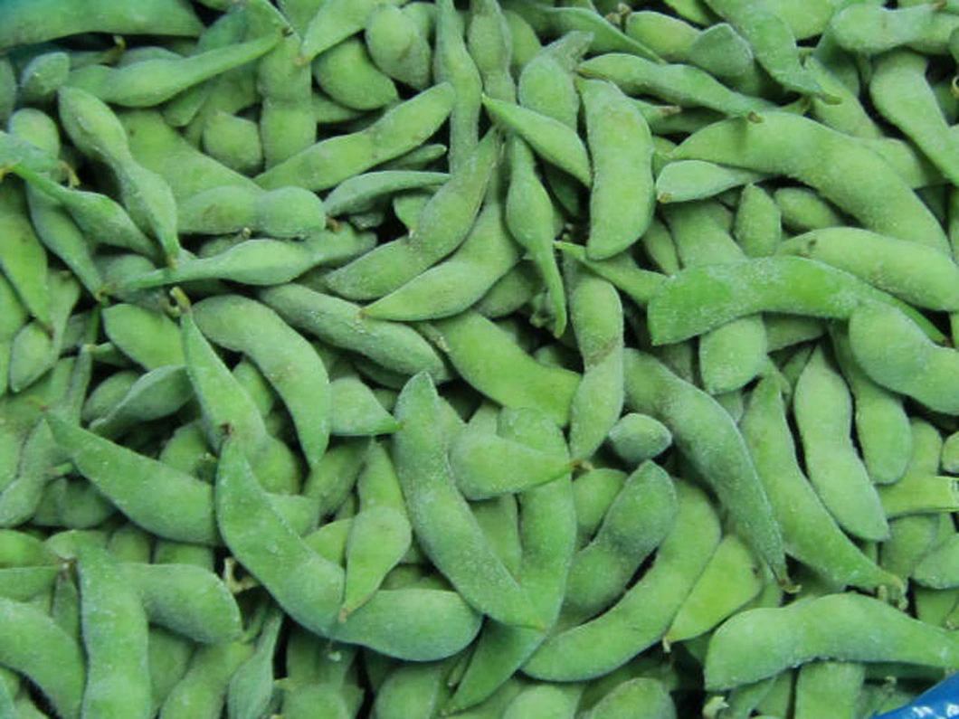 Wholesale IQF Frozen Edamame in Pod