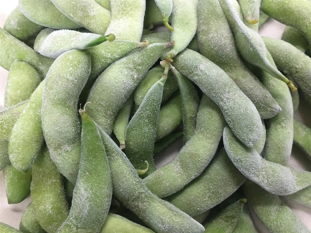 Wholesale IQF Frozen Edamame in Pod