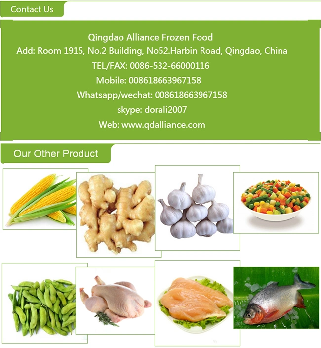 Organic Agricultural Top Quality IQF Frozen Green Soy Beans Kernels Edamame with Wholesale Price in Bulk Retail Packing