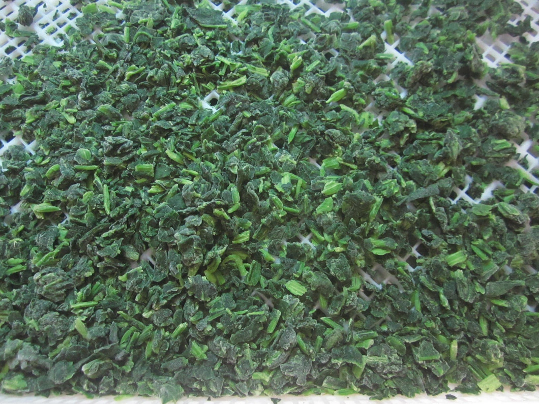 High Quality IQF Chopped Spinach 3/8