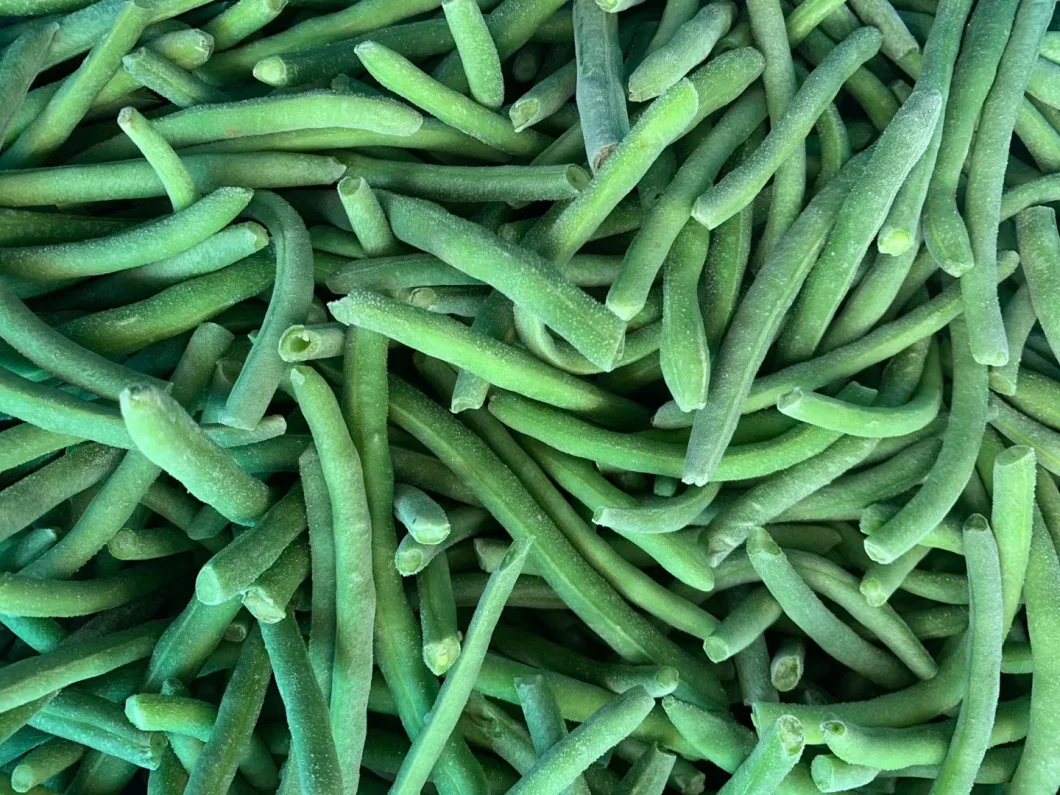 Top Quality IQF Frozen Green Bean Cut New Crop Green Bean