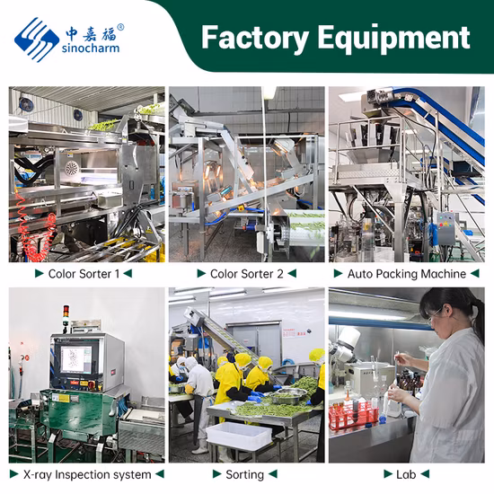 Gombo giallo intero IQF cinese congelato naturale per lo standard di esportazione dell'UE