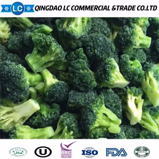 Broccoli surgelati di alta qualità al miglior prezzo
