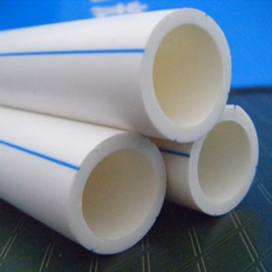 Fagioli rossi cotti surgelati, IQF, fagioli rossi cotti, IQF, fagioli bianchi, fagioli rossi misti surgelati, IQF, fagioli rossi misti, pronti da mangiare