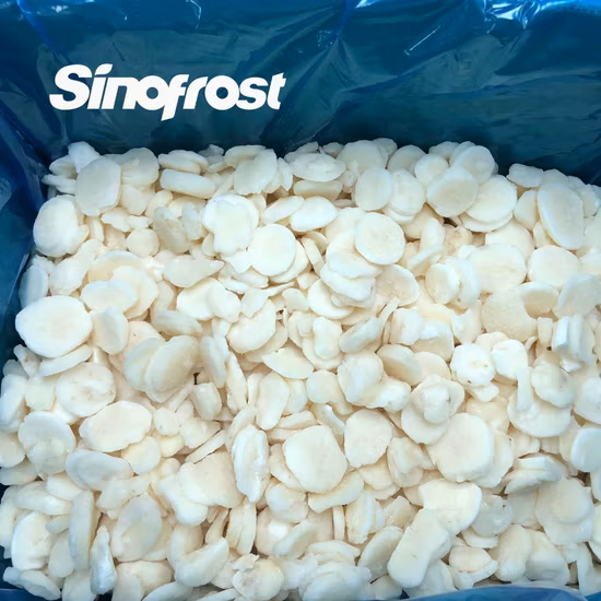 Fette di castagne d'acqua IQF congelate